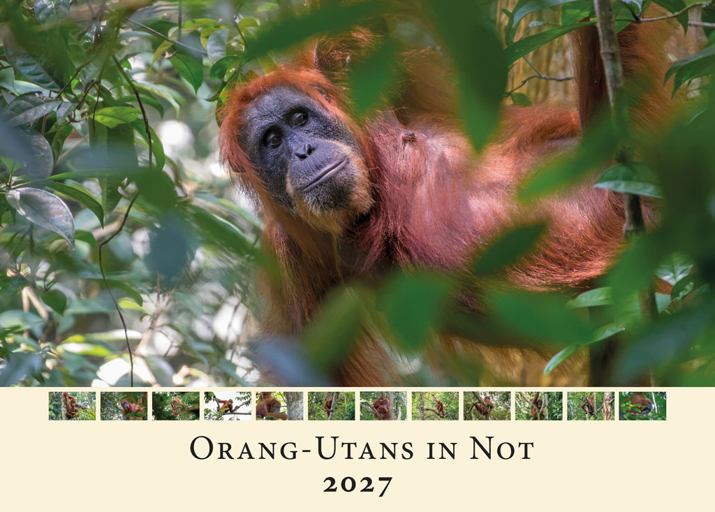 Kalender_2027_01