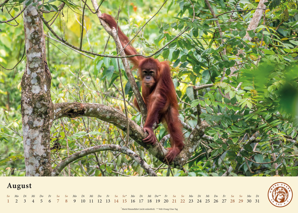 Kalender_2027_05