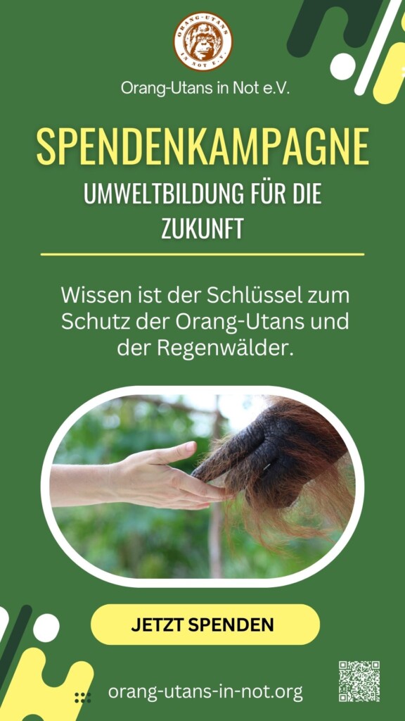 Flyer zur Spendenkampagne: Oben ist das Orang-Utans in Not Logo und der Vereinsname abgebildet. Darunter steht:" Spendenkampagne – Umweltbildung für die Zukunft"; Wissen ist der Schlüssel zum Schutz der Orang-Utans und der Regenwälder." Darunter ist ein Bild, auf dem die Hand eines Orang-Utans eine Menschenhand berührt. Darunter steht: "Jetzt Spenden".