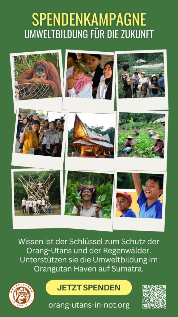 Flyer zur Spendenkampagne: Oben steht:" Spendenkampagne – Umweltbildung für die Zukunft". Darunter sind sechs Bilder, die Bildungsaktivitäten im Orangutan Haven zeigen. Darunter steht: "Wissen ist der Schlüssel zum Schutz der Orang-Utans und der Regenwälder." Darunter steht: "Jetzt Spenden".