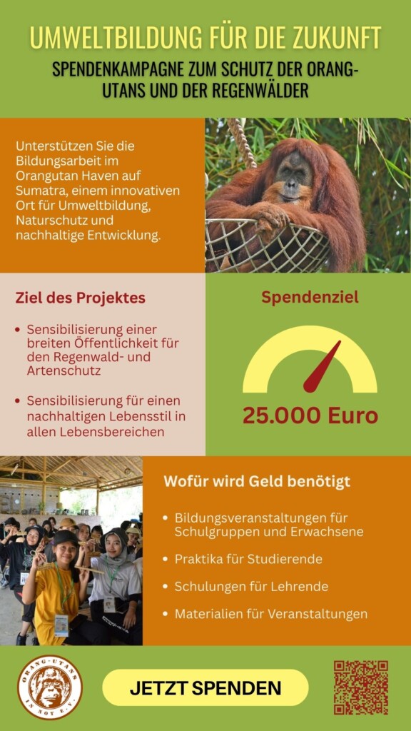 Flyer zur Spendenkampagne: Oben steht:" Umweltbildung für die Zukunft – Spendenkampagne zum Schutz der Orang-Utans und der Regenwälder". Darunter gibt es Informationen zum Projekt, zum Projekt, zum Ziel des Projektes, zum Spendenziel sowie eine Aufzählung, wofür das Geld benötigt wird. Darunter steht: "Jetzt Spenden".