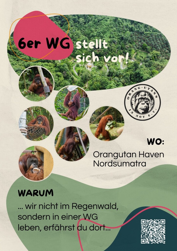 Flyer zur Spendenkampagne: Oben steht:" 6er WG stellt sich vor". Darunter sind 6 kleine Bilder von den Orang-Utans abgebildet, die im Orangutan Haven leben. Daneben steht: "Wo: Orangutan Haven Nordsumatra". Darunter steht: " Warum wir nicht im Regenwald, sondern in einer WG leben, erfährst du dort ..." Daneben ist ein QR-Code platziert.