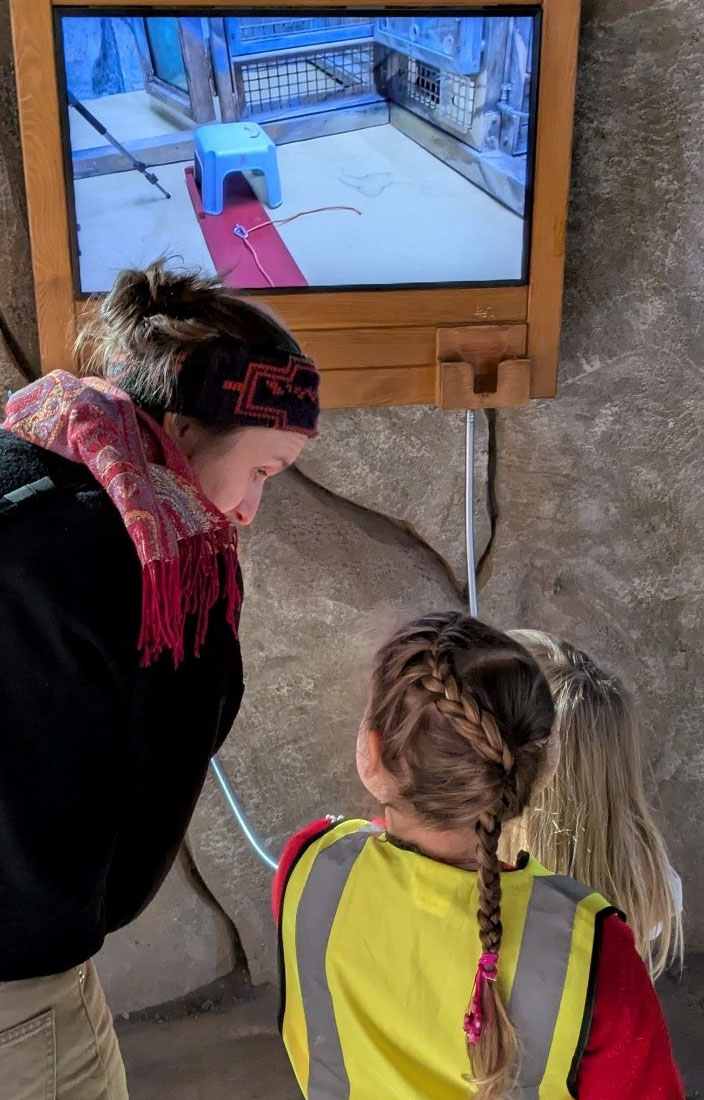 Zwei Kinder und die Umweltbildnerin stehen vor einem Bildschirm und schauen ein Video der Forschungsstation des Wolfgang-Köhler-Primaten-Forschungszentrums.