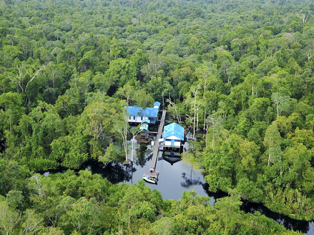 Luftaufnahme der Baumschule im Lamandau River Wildlife Reserve.
