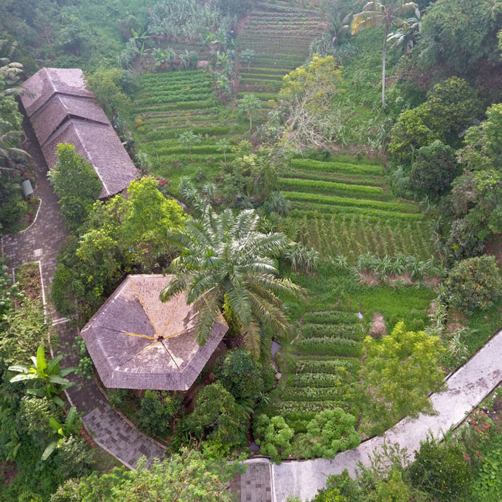 Aerial view of the ecofarming area at Orangutan Haven.