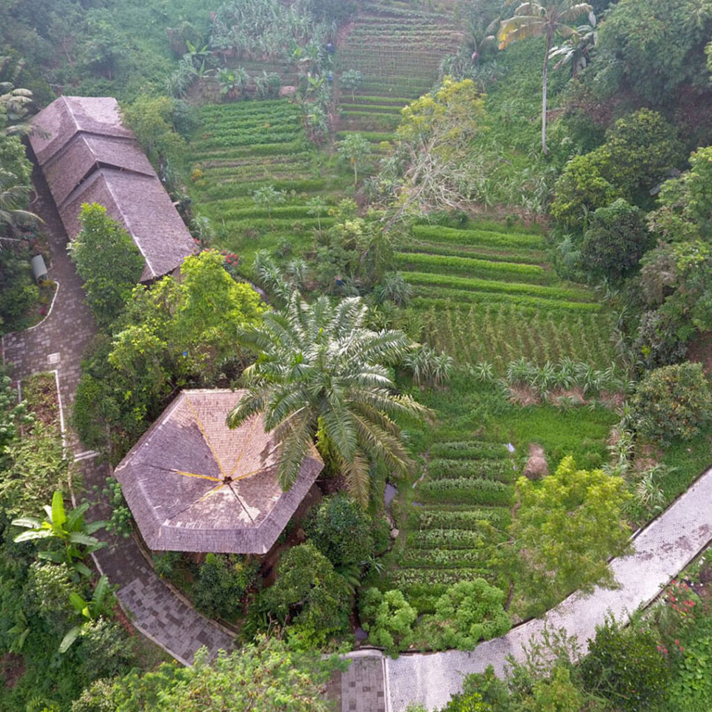 Aufnahme aus der Luft des Ecofarming-Bereichs im Orangutan Haven.