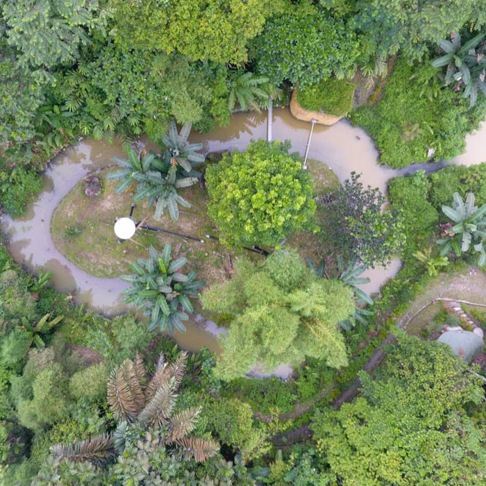 Drone view of an orangutan island. The island has been planted with various trees and plants. There is also a nesting platform.