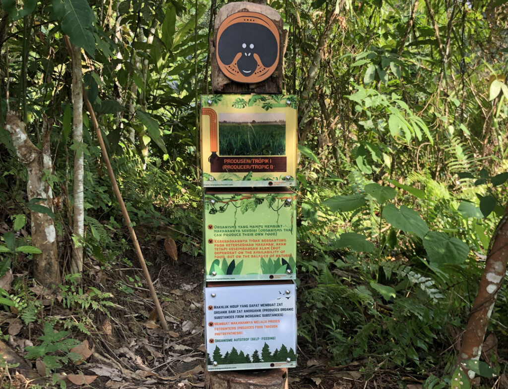 Photo of an exhibit explaining the food chain.