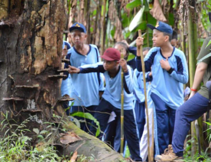 A group of school children on an eco trail are looking at fungi that grow on a tree stem.