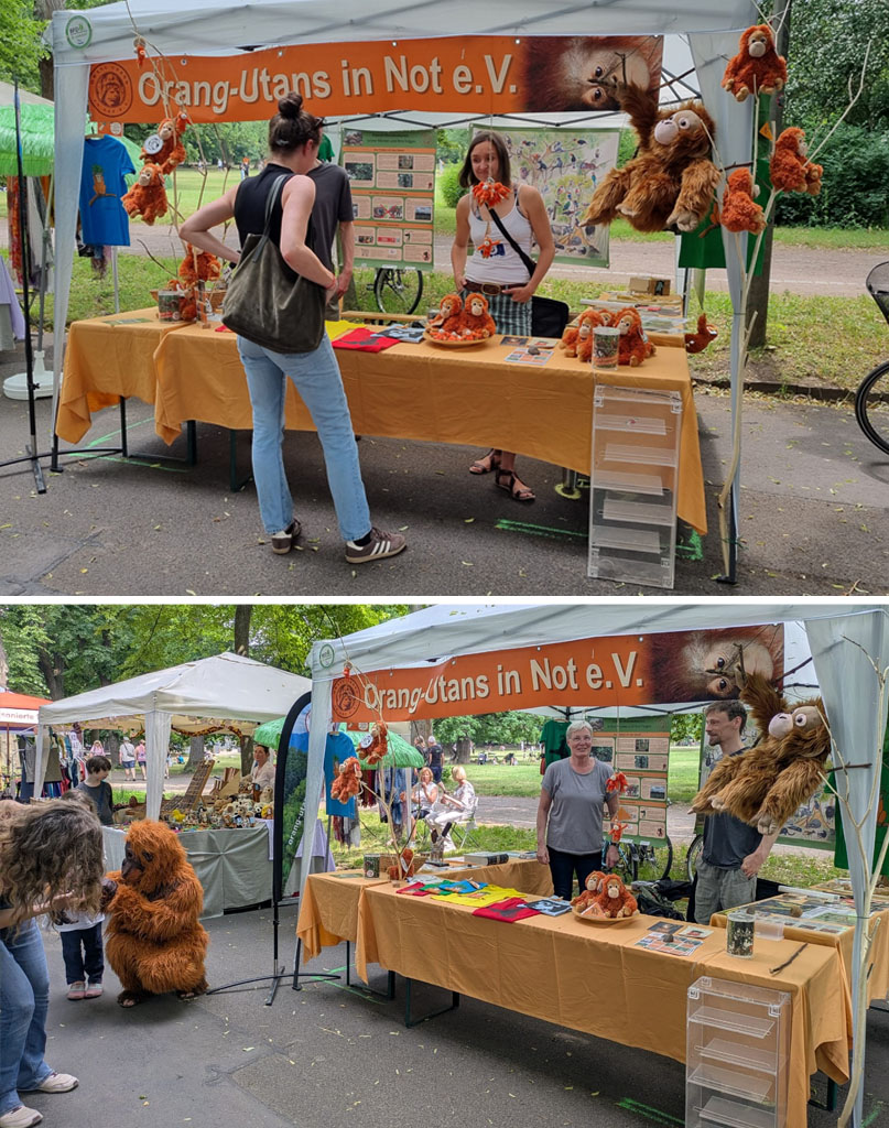 Bild oben: Unser Infostand auf der Ökofete: Eine Besucherin steht vor dem Stand und schaut sich die Verkaufsmaterialien an. Bild unten: Unser Infostand auf der Ökofete: Vor dem Infostand kniet ein Vereinsmitglied im Orang-Utan-Kostüm und bespaßt ein Kind.