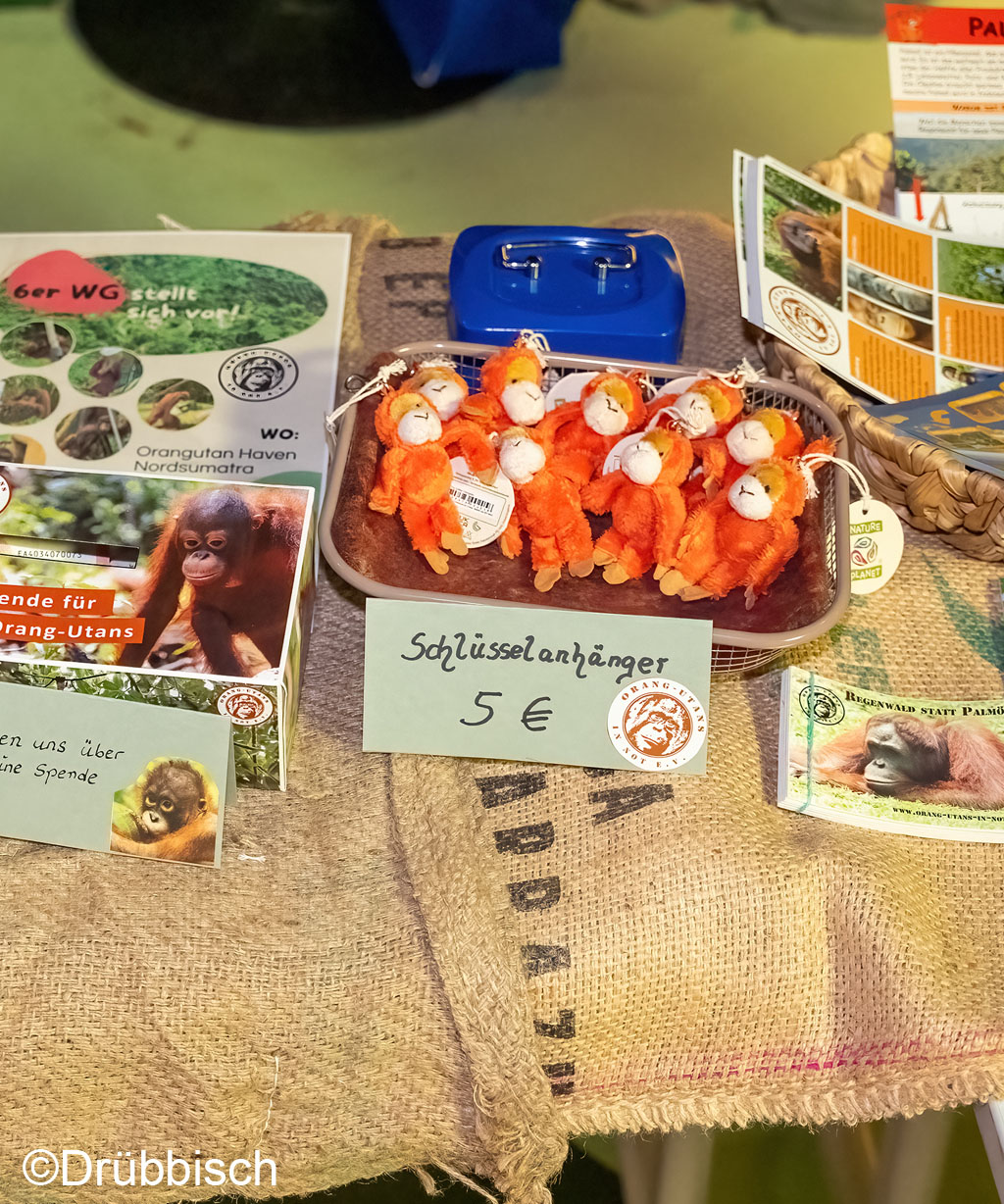 Orang-Utan-Tag_Zoo_Rostock_03