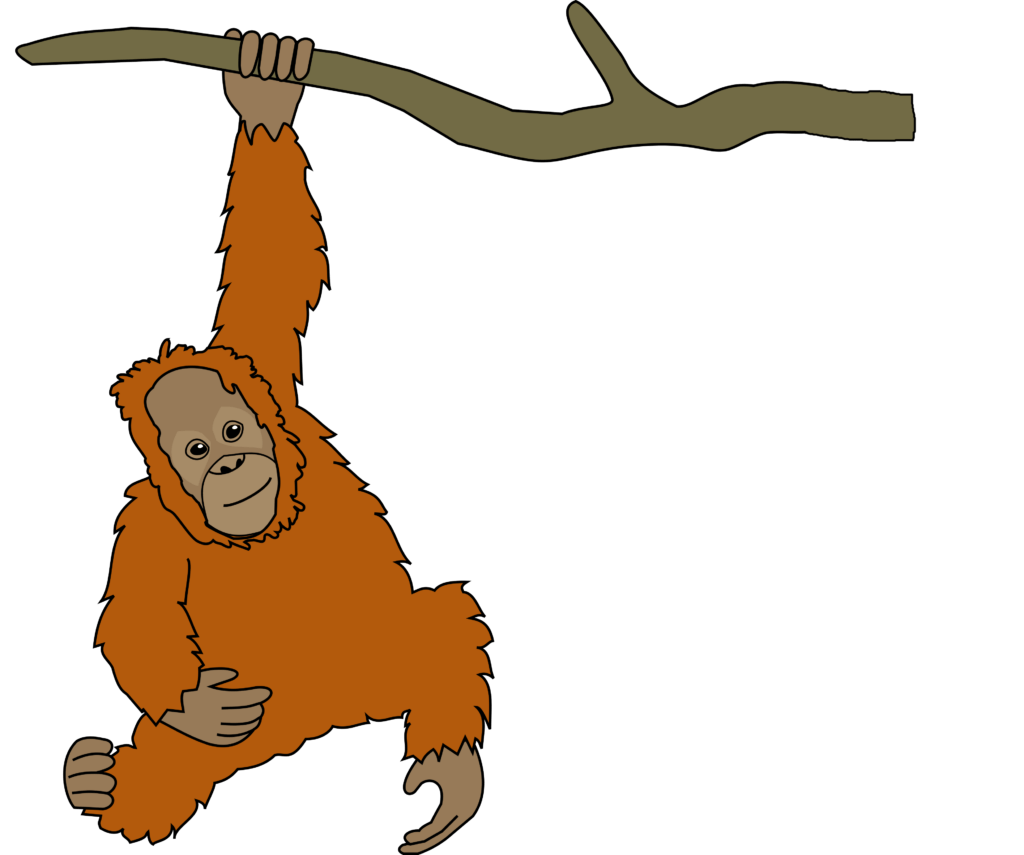 Zeichnung von einem Orang-Utan, der an einem Ast hängt.