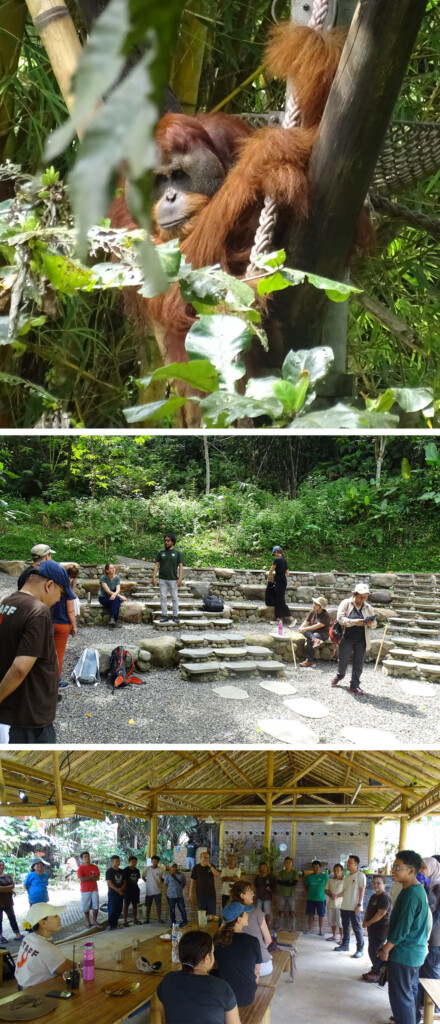 Bild oben: Ein Orangutan liegt in der Nestplattform auf seiner Insel im Orangutan Haven. Bild mitte: Besucher machen eine Pause in dem neuen Amphitheater. Bild unten: Gruppenfoto mit den Mitarbeitern des Orangutan Haven im Schulungsgebäude der Ecofarm.
