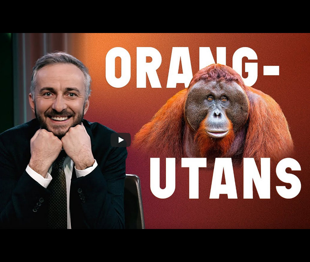 Startbild des Videobeitrags aus dem ZDF Magazin Royale. Auf der linken Seite des Bildes ist Jan Böhmermann zu sehen, rechts daneben ein Orang-Utan.